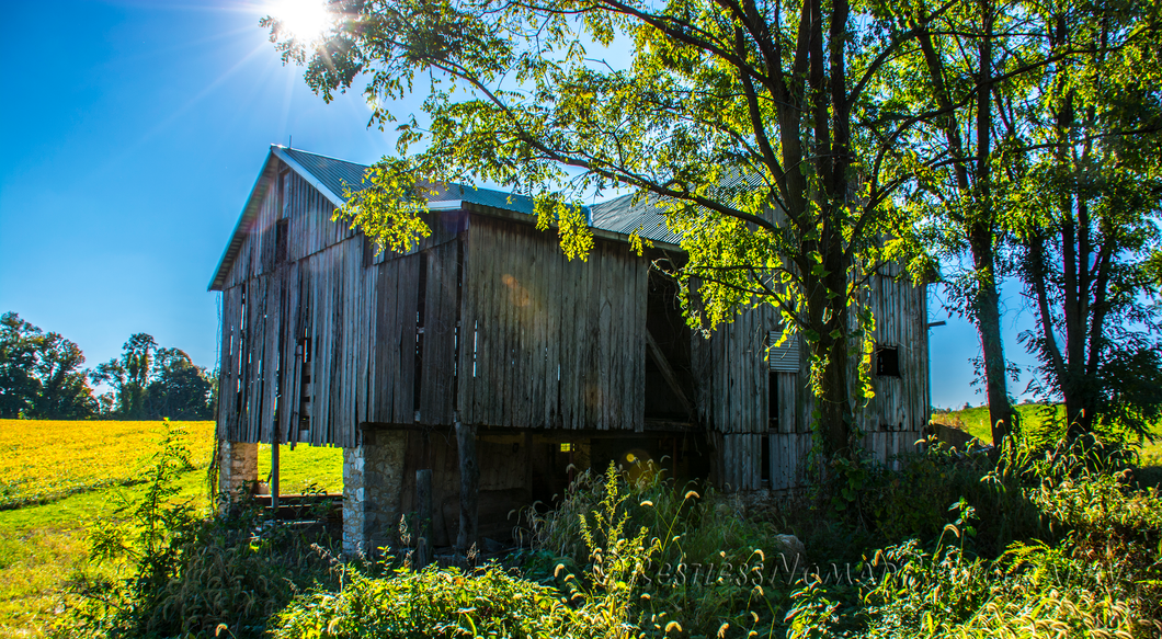 RestlessNomadPhotography - Bank Barn