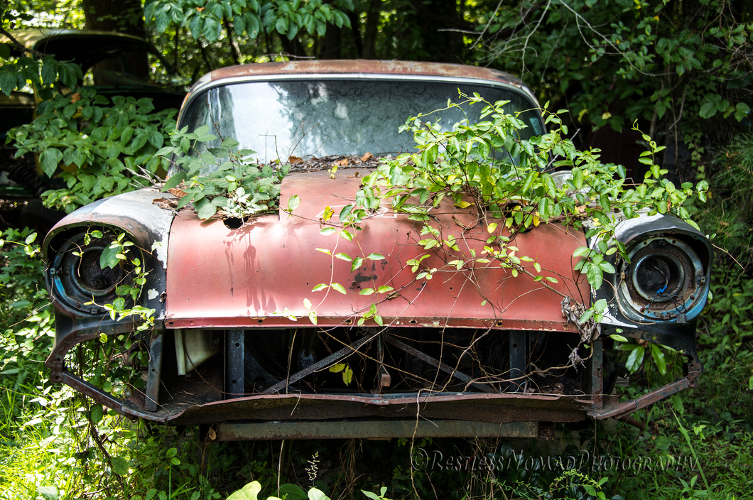 RestlessNomadPhotography - Bel Air Coupe #1