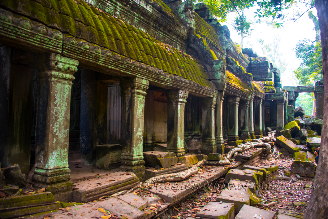 RestlessNomadPhotography - Gallery of Ta Phrom Temple - Cambodia