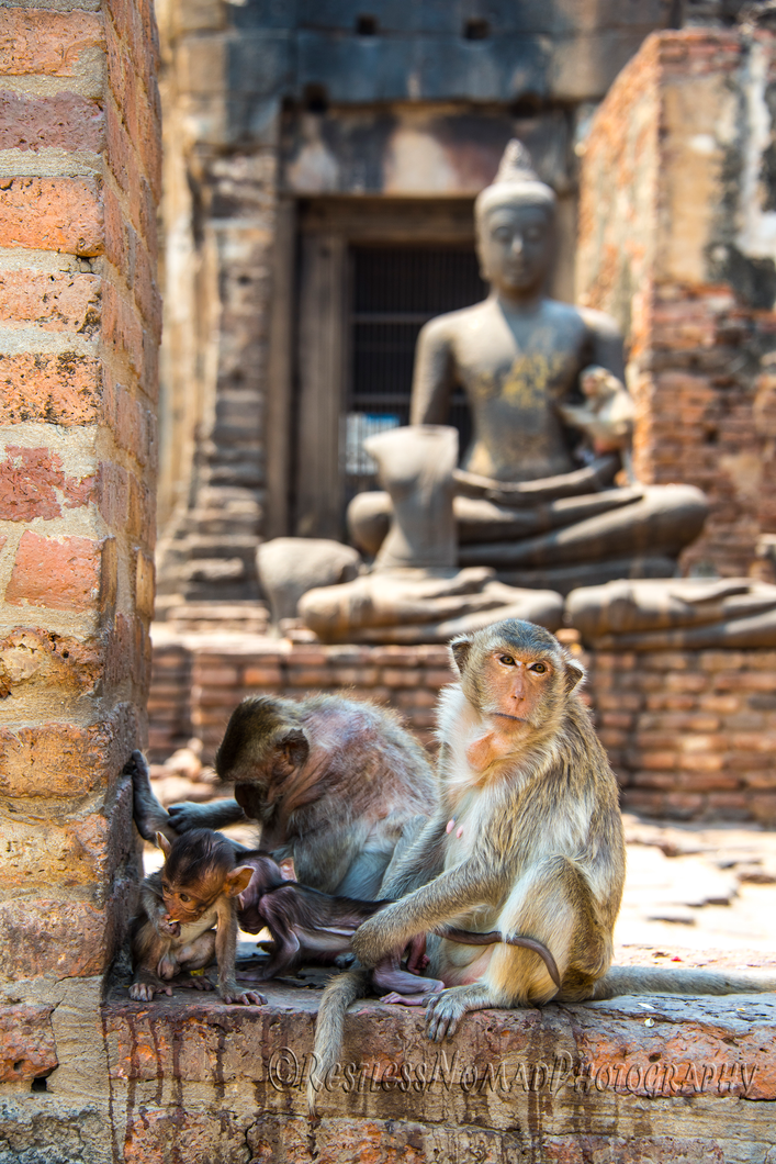 RestlessNomadPhotography - Prang Sam Yot - Lopburi Thailand