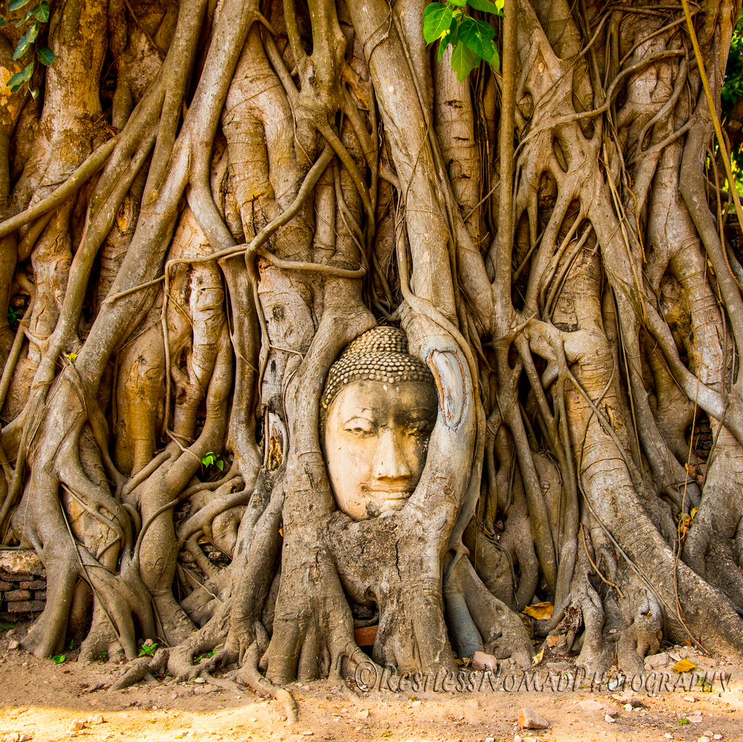 RestlessNomadPhotography - Wat Mahathat - Ayutthaya Thailand
